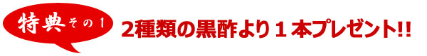 特典その1